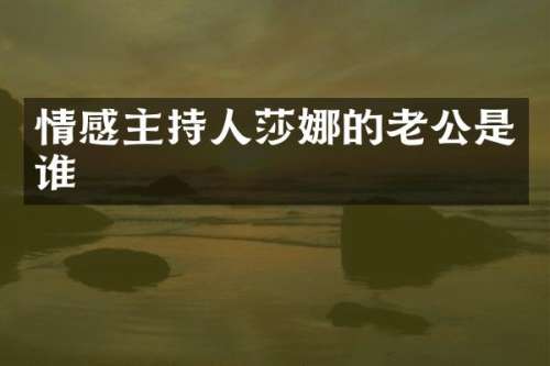 情感主持人莎娜的老公是谁