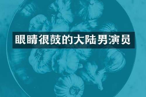 眼睛很鼓的大陆男演员