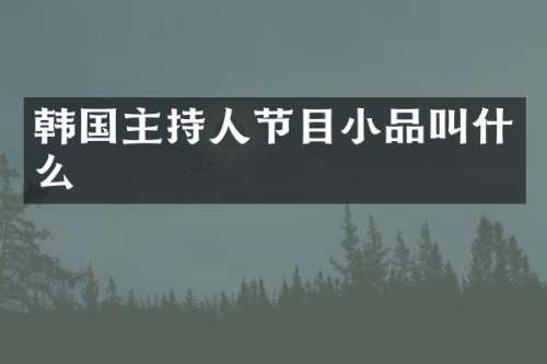 韩国主持人节目小品叫什么