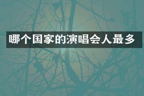 哪个国家的演唱会人最多