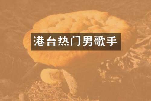 港台热门男歌手
