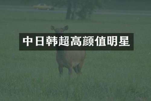 中日韩超高颜值明星
