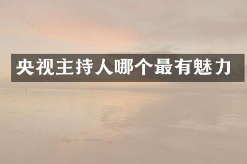 央视主持人哪个最有魅力