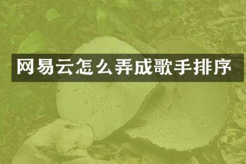 网易云怎么弄成歌手排序