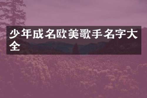 少年成名欧美歌手名字大全