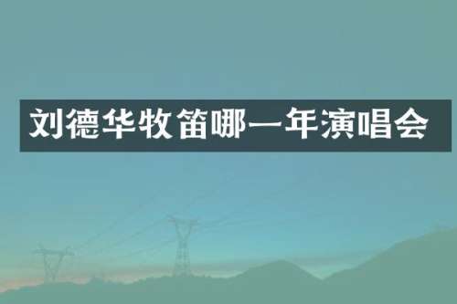 刘德华牧笛哪一年演唱会