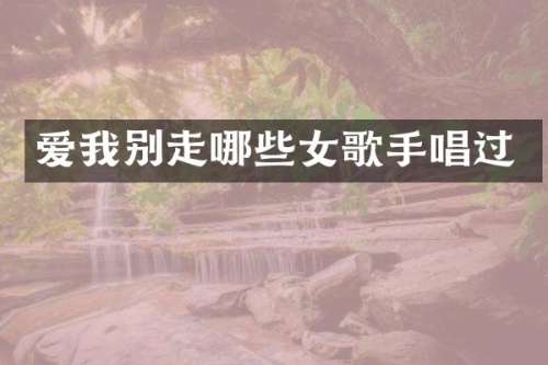 爱我别走哪些女歌手唱过