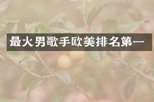 最火男歌手欧美排名第一