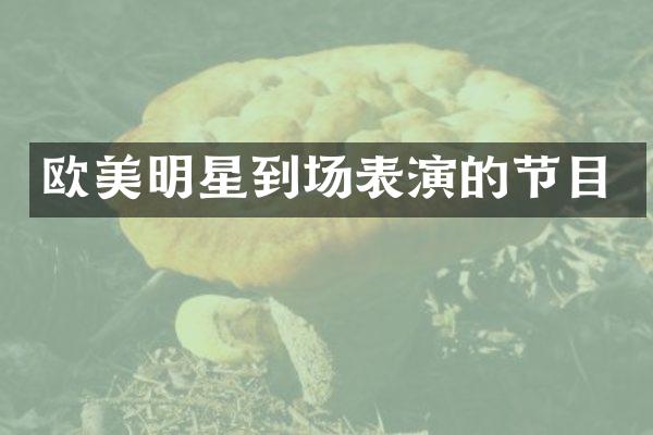 欧美明星到场表演的节目