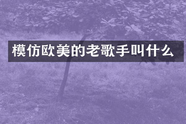 模仿欧美的老歌手叫什么