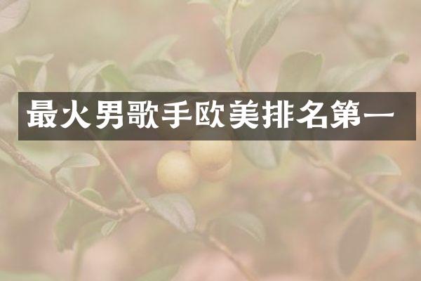 最火男歌手欧美排名第一
