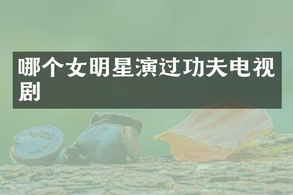哪个女明星演过功夫电视剧