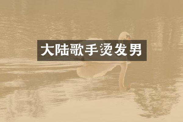 大陆歌手烫发男