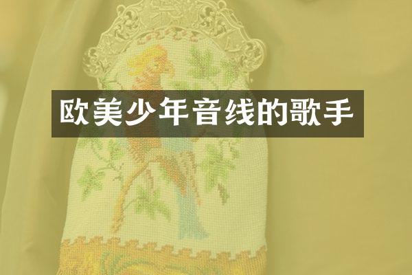 欧美少年音线的歌手