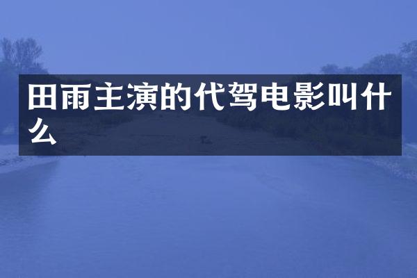田雨主演的代驾电影叫什么