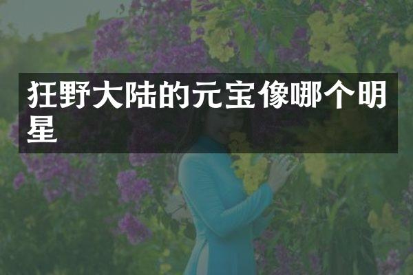 狂野大陆的元宝像哪个明星