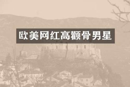 欧美网红高颧骨男星