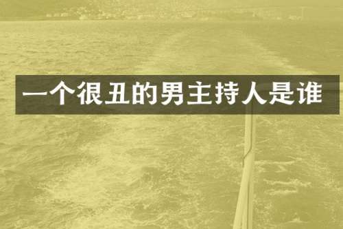 一个很丑的男主持人是谁