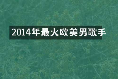 2014年最火欧美男歌手