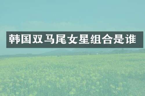 韩国双马尾女星组合是谁