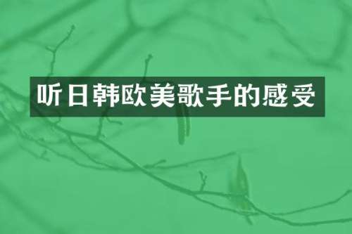 听日韩欧美歌手的感受