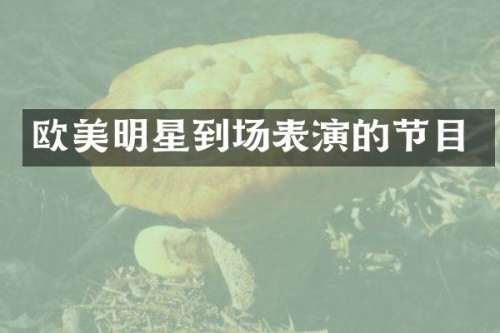 欧美明星到场表演的节目
