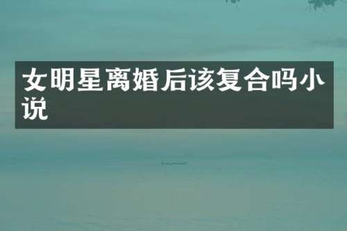 女明星离婚后该复合吗小说