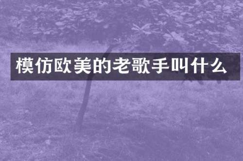 模仿欧美的老歌手叫什么