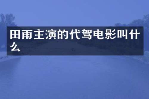 田雨主演的代驾电影叫什么