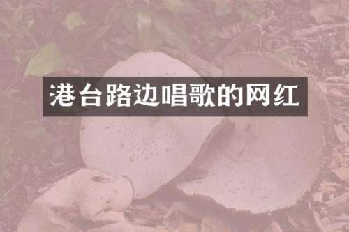 港台路边唱歌的网红