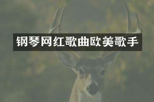 钢琴网红歌曲欧美歌手