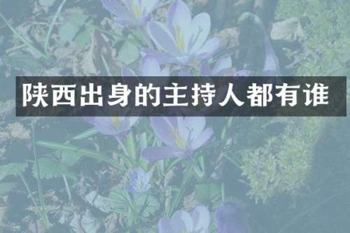 陕西出身的主持人都有谁