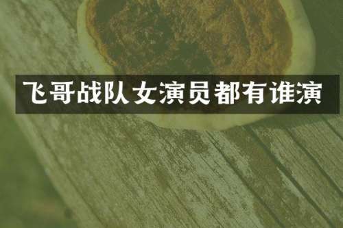 飞哥战队女演员都有谁演