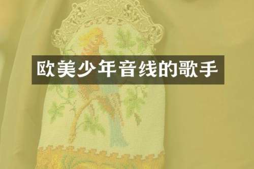 欧美少年音线的歌手