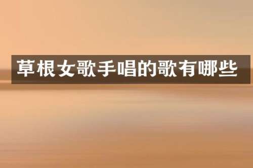 草根女歌手唱的歌有哪些