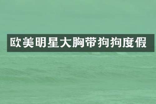 欧美明星大带狗狗度假