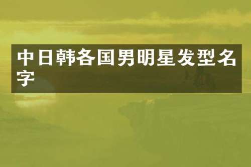 中日韩各国男明星发型名字