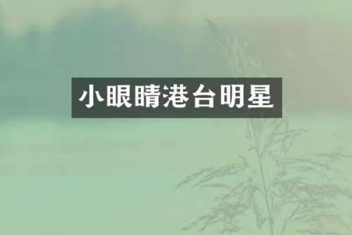小眼睛港台明星