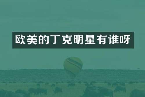欧美的丁克明星有谁呀