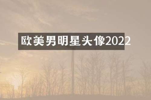 欧美男明星头像2022