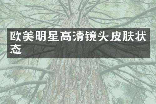 欧美明星高清镜头皮肤状态