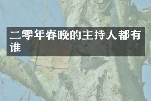 二零年的主持人都有谁