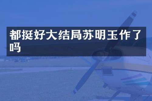 都挺好大结局苏明玉作了吗