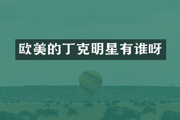 欧美的丁克明星有谁呀