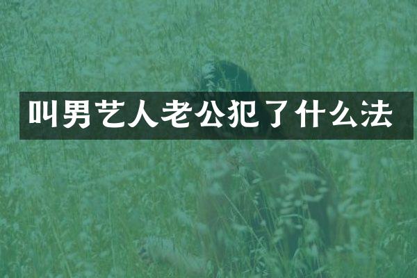 叫男艺人老公犯了什么法