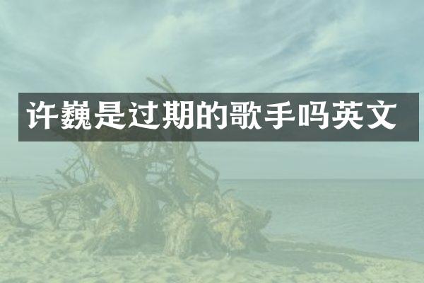 许巍是过期的歌手吗英文