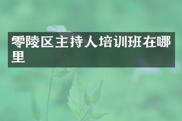 零陵区主持人培训班在哪里