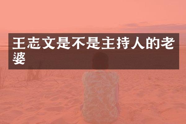 王志文是不是主持人的老婆