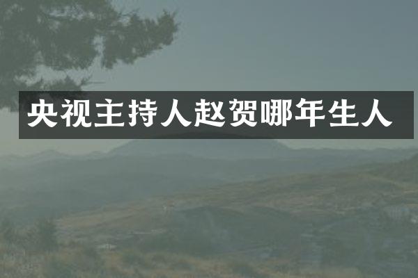 央视主持人赵贺哪年生人