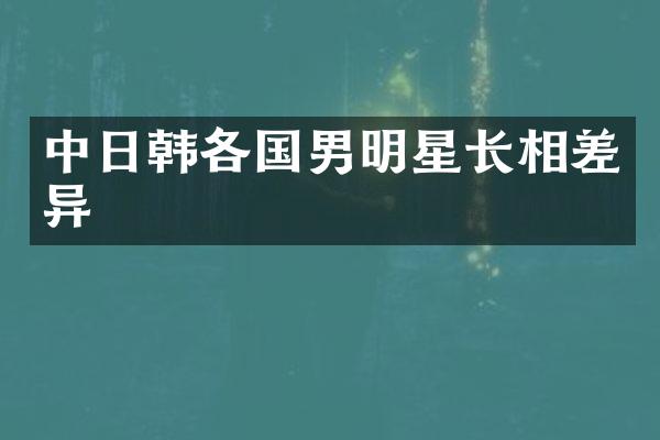 中日韩各国男明星长相差异